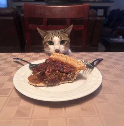 JaxEatsPie